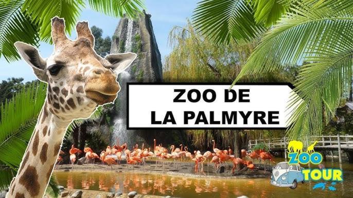 Campsite De L'anse A La Coubre Les Mathes
